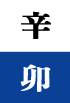 신묘일주